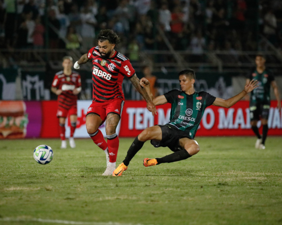 maringá x flamengo