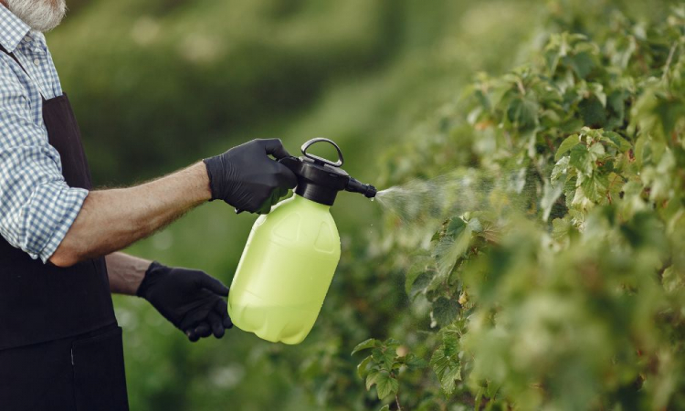 Fertilizantes em garrafa