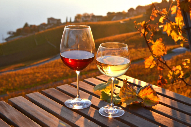 6 tipos de vinhos indicados para o outono