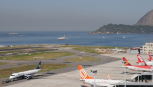 Capivara entra na pista do aeroporto Santos Dumont