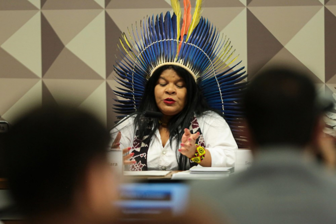 Sônia Guajajara fala na Câmara