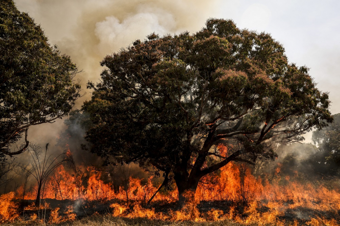 Brigadistas do Instituto Brasília Ambiental e Bombeiros do Distrito Federal combatem incêndio em área de cerrado próxima ao aeroporto de Brasília