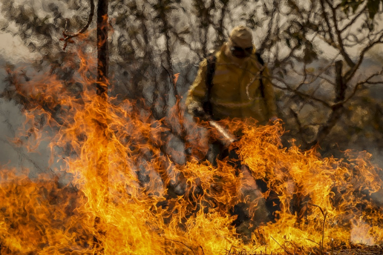 Rio de Janeiro enfrenta onda de calor com mais de 300 incêndios em 24 horas