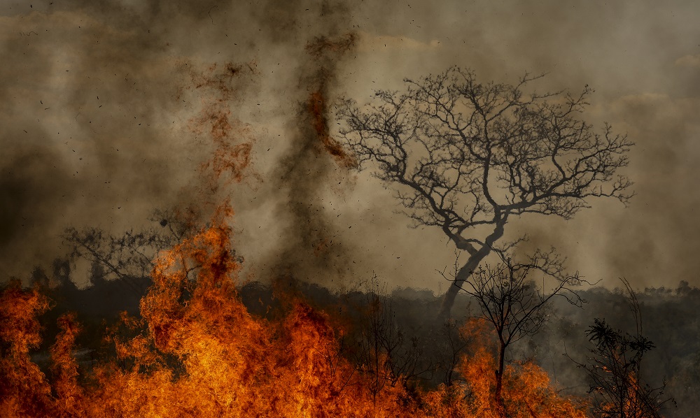 Brigadistas do Instituto Brasília Ambiental e Bombeiros do Distrito Federal combatem incêndio em área de cerrado próxima ao aeroporto de Brasília