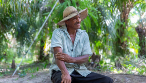 Trabalhador de chapéu sentado em meio à plantação de palma de óleo
