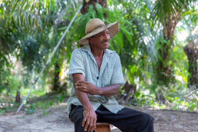 Trabalhador de chapéu sentado em meio à plantação de palma de óleo
