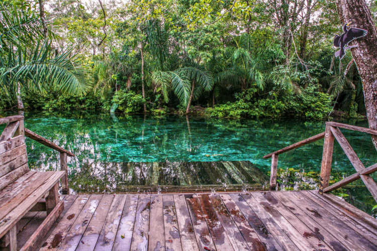 Veja o que torna Bonito um destino incrível de ecoturismo