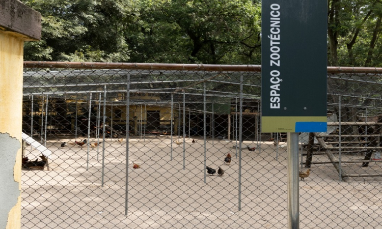 Equipes do parque da Água Branca realizam manejo de aves para áreas zootécnicas como medida preventiva à Influenza (H5N1)