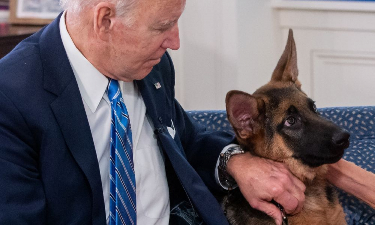 Leader Biden's dog