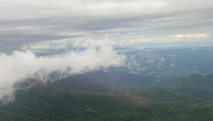 Avião desapareceu em aéra de mata no Paraná