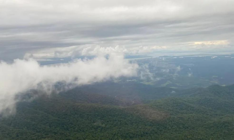 Avião desapareceu em aéra de mata no Paraná