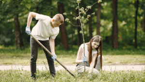 Um garoto e uma menina plantam árvore em parque