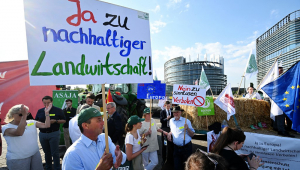 Manifestação de agricultores alemães no Parlamento Europeu