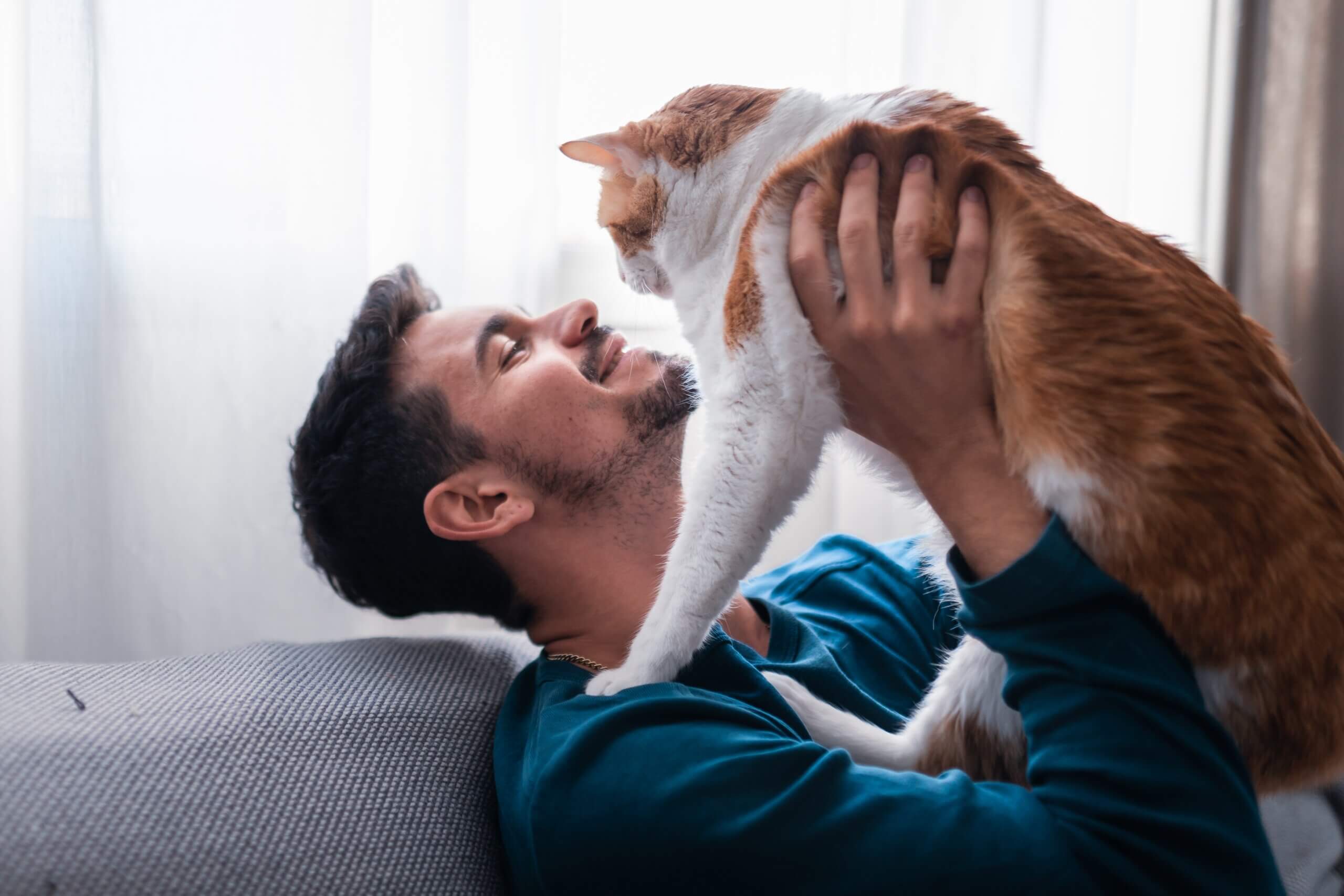 O som do ronronar de um gato demonstra contentamento e satisfação 