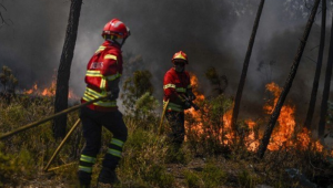 Bombeiros trabalhando para conter incêndio florestal em Portugal