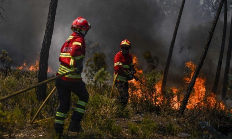 Bombeiros trabalhando para conter incêndio florestal em Portugal