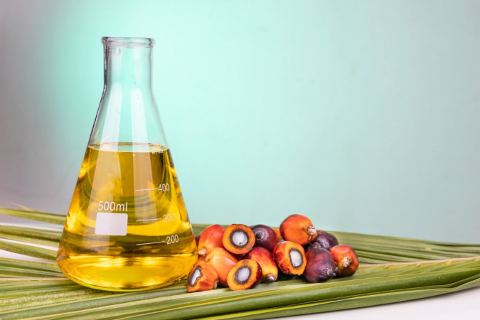 Óleo de palma é matéria-prima para a produção de biodiesel
