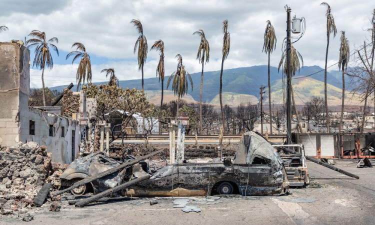 Passa dos 100 o número de mortos em incêndios no Havaí; apenas cinco vítimas já foram identificadas