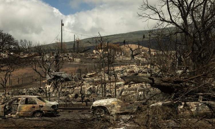 incêndio no havai