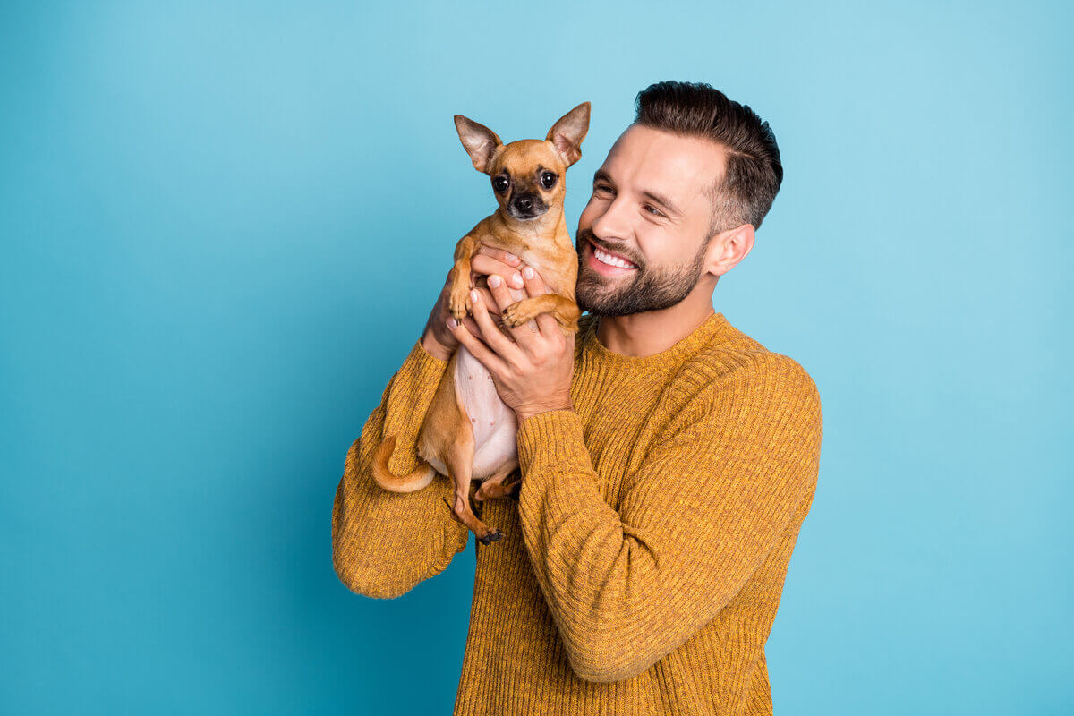 Algumas atitudes dos tutores, mesmo que por amor, podem incomodar os cães 