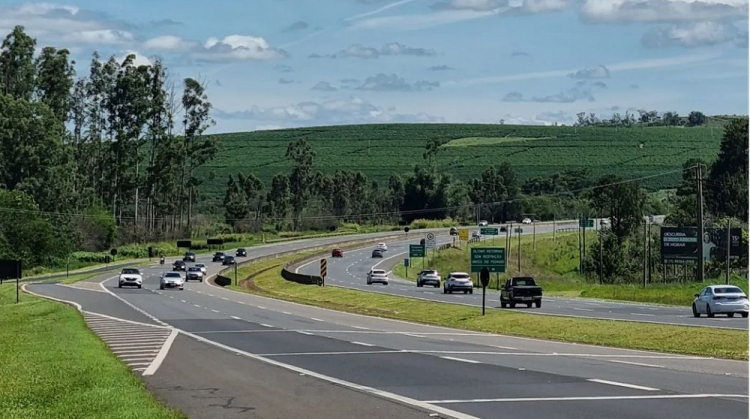 Ônibus de turismo cai em vão de viaduto em Campinas e deixa mais de 31 feridos