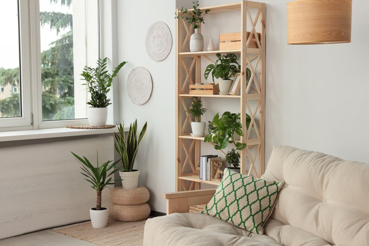 Plantas e flores na decoração trazem vida aos ambientes 