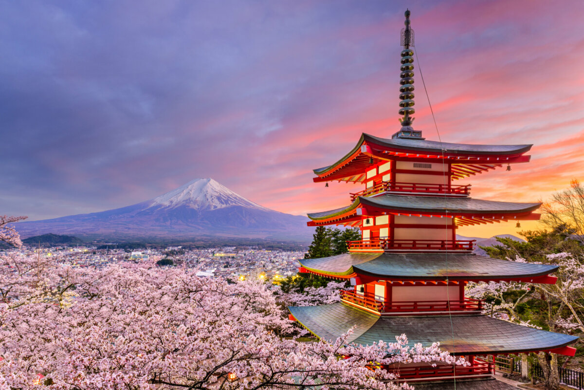 Na primavera, o Japão é dominado pelas sakuras, também conhecidas como cerejeiras em flor 