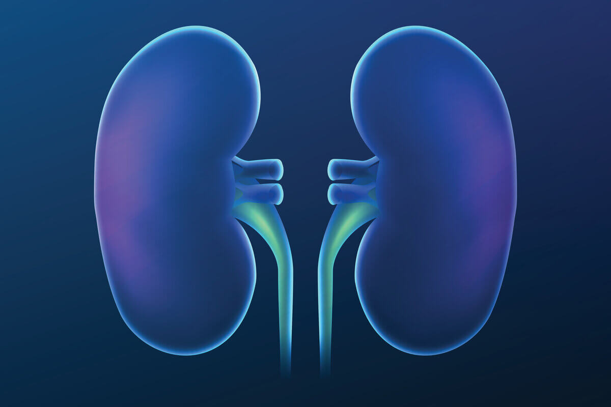 Doação de rins pode devolver saúde para pacientes com doença renal 