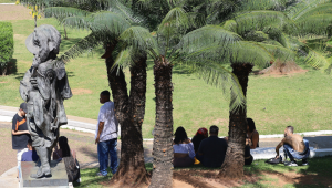 Pessoas reunidas no Parque do Ibirapuera