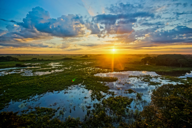 Pantanal: conheça o principal destino de turismo ecológico do país