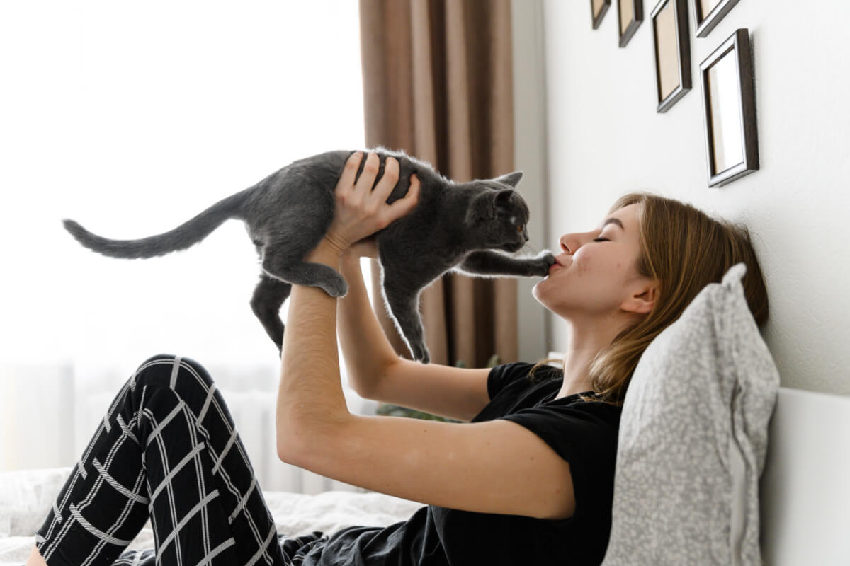 Fazer carinho e dar abraços demonstra ao seu gato que você o ama e o aprecia 