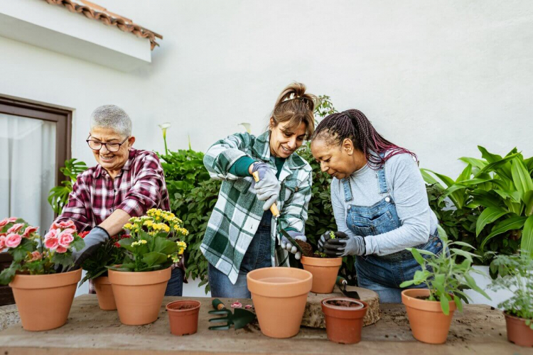 3 dicas para cuidar do jardim na primavera