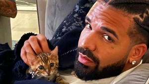 Casa de Drake em Toronto é cercada pela polícia após tiroteio; rapper não se feriu