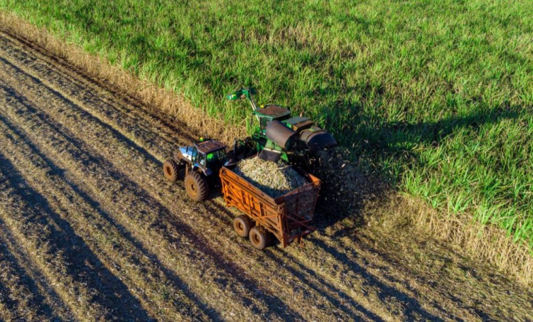 Setor sucroalcooleiro tem maior participação nas exportações do agro de São Paulo