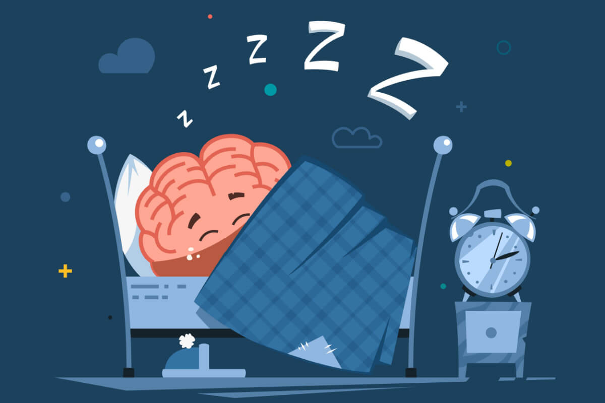 Ter um sono regulado é essencial para que o cérebro e o organismo funcionem bem
