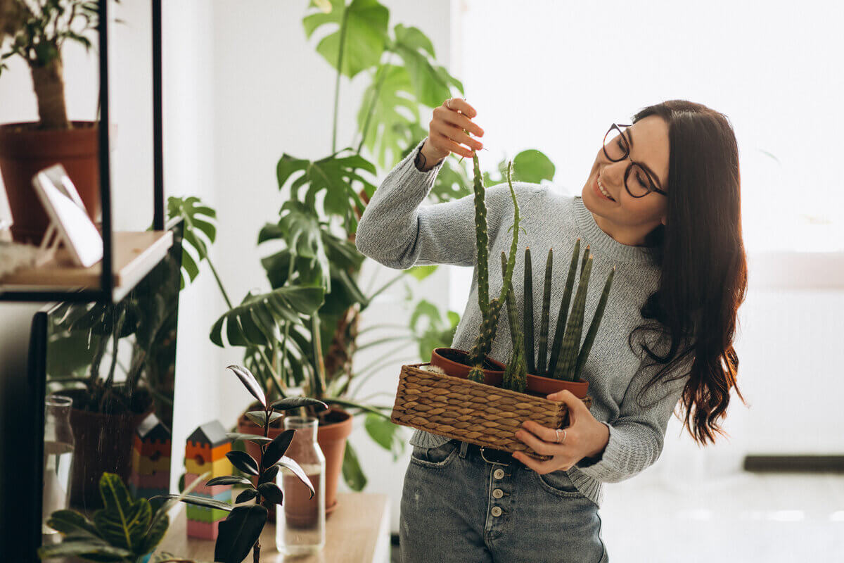 Radiestesia melhora o crescimento e o aspecto das plantas 