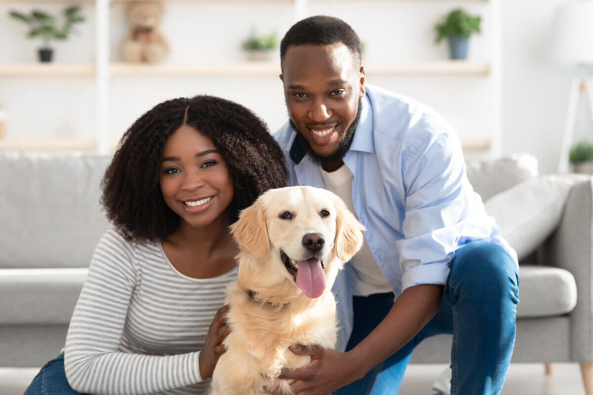 Nomes de personagens fictícios ajudam a expressar a inteligência e sensibilidade do golden retriever 