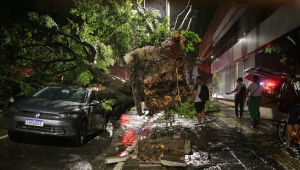 Uma árvore de grandes proporções caiu durante a tempestade e atingiu três veículos na Rua São Carlos do Pinhal, na esquina da Rua Itapeva, em São Paulo