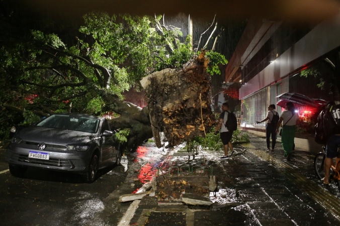 FOTOS: vento provoca queda de árvores, falta de energia elétrica e