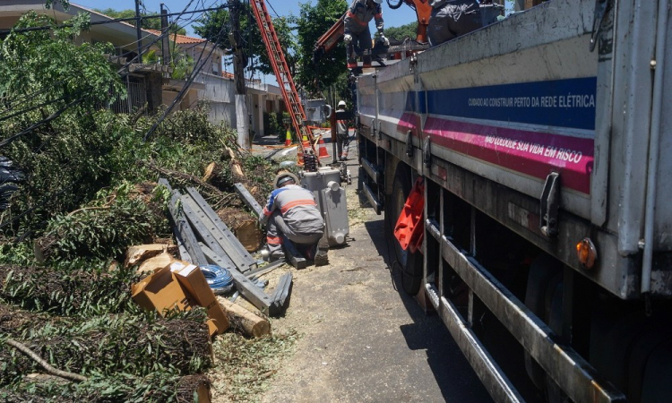 Funcionários trabalham após a queda de árvores na Avenida Piassanguaba, no bairro Planalto Paulista
