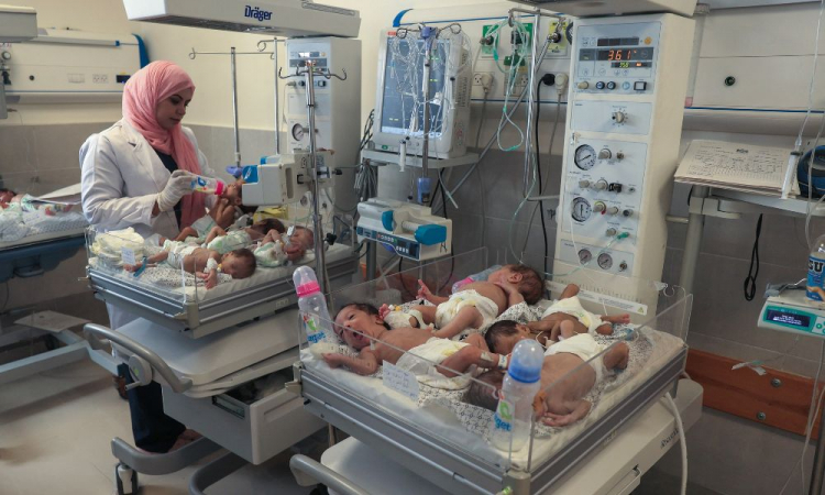 bebês em gaza