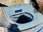 Criança se escondeu dentro de máquina de lavar