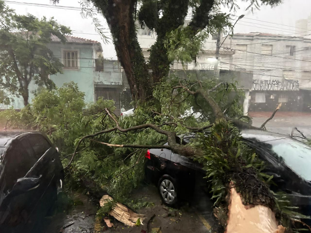 Fornecimento de energia só deve ser restabelecido em SP na terça