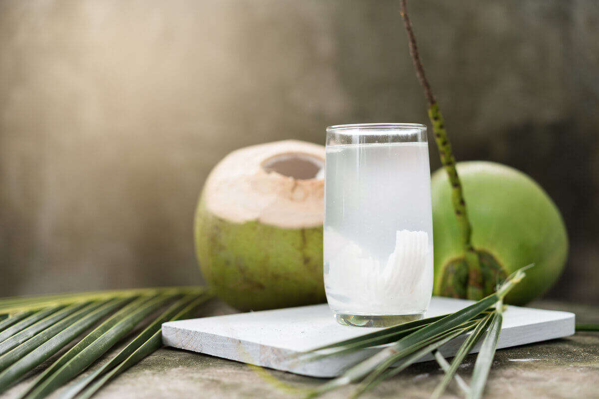 Água de coco oferece benefícios além da hidratação 