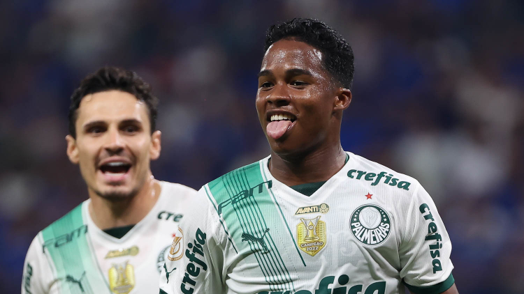 Palmeiras conquista o Brasileirão 2023 e aumenta vantagem como maior  campeão nacional - ZÉ DUDU