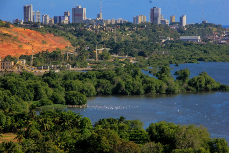 Maceió vive horas de terror com risco de mina da Braskem colapsar ‘a qualquer momento’