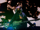 The Cure