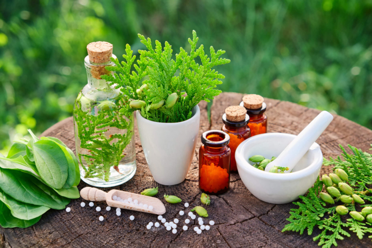 16 dicas para usar e armazenar a medicação homeopática