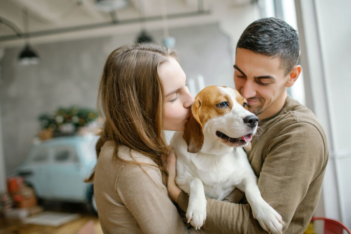 Animais de estimação podem auxiliar no tratamento de ansiedade e depressão 