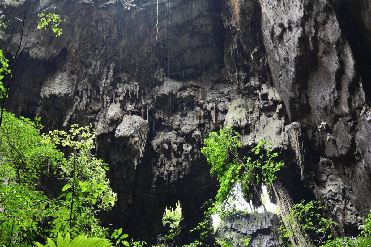 A Caverna Termimina é um dos tesouros encontrados no Parque Estadual do Alto Ribeira, em Iporanga, no Vale do Ribeira 